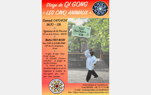 Stage de QI Gong des 5 animaux